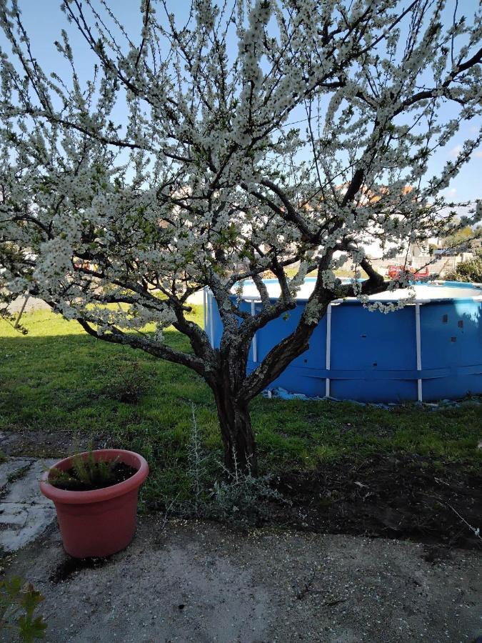Casa Do Campo Villa Seia Dış mekan fotoğraf